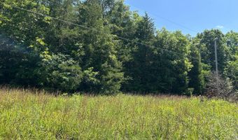 18781 Private Drive 1145, Ava, MO 65608