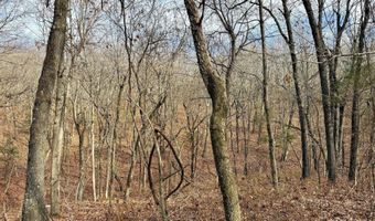 Farm Rd 1187 Lc, Ash Grove, MO 65604