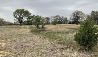 155 Rolling Ranch Blvd, Alvord, TX 76225