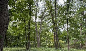 tbd N 225 E Road, Attica, IN 47918