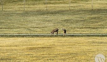 16 Crow Child Trl, Absarokee, MT 59001