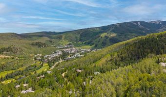 121 Borders Rd, Beaver Creek, CO 81620