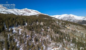944 Roberts Rd, Alma, CO 80420