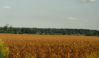 1037 Cr 300, Big Creek, MS 38914