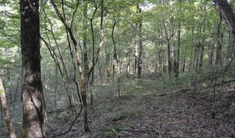 000 Hwy 14, Ava, MO 65608