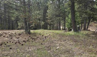 59 Price Loop, Cascade, ID 83611