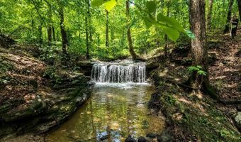 58 Acres Naples Ln, Arab, AL 35016