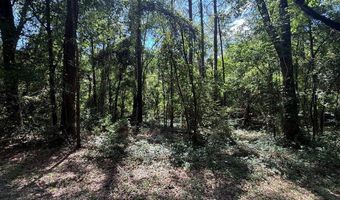 Appian Way, Baconton, GA 31716