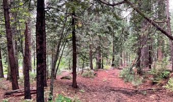 1526 Seminole, Arnold, CA 95223