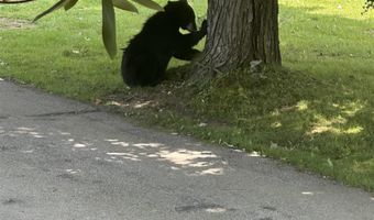 704 Hillside Ave, Berlin, NH 03570