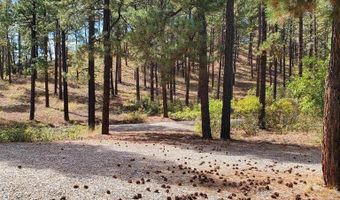 282 Pine Ln, Bayfield, CO 81122