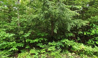 Porter Road, Bath, NH 03740