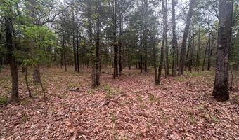UNIT # 263B KIAMICHI WILDERNESS RD Unit # 63 63, Antlers, OK 74523