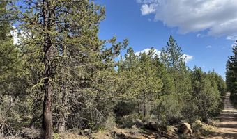 Thunderbear Road 46, Bonanza, OR 97623