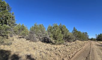 Blue Heron Drive, Bonanza, OR 97623