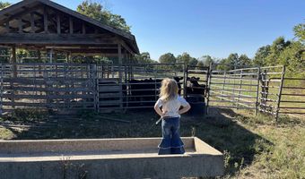 000 County Road 113, Alton, MO 65606