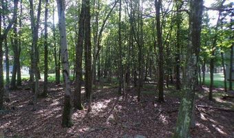 Liii712 Juniper Lane, Albrightsville, PA 18210