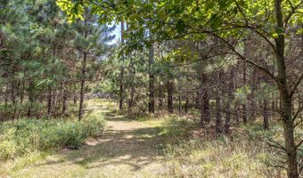 10859 BOSSHARD CIRCLE Rd, Arbor Vitae, WI 54568
