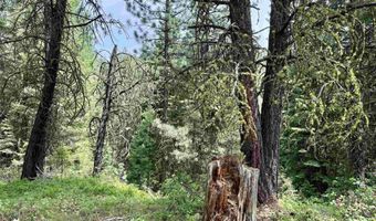 53 Landale Ln, Cascade, ID 83711