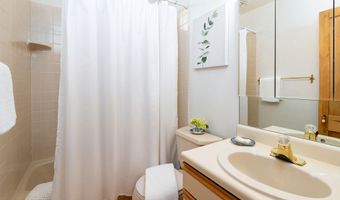 679 Brush Creek Rd, Aspen, CO 81611