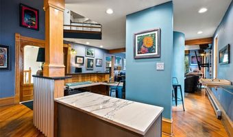 160 E Adams Ave 2, Breckenridge, CO 80424