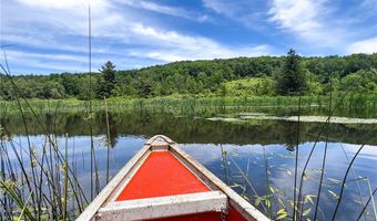 0 Woodland Hills Rd, Andes, NY 13731