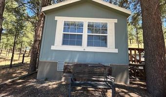 450 County Road 2104, Alpine, AZ 85920