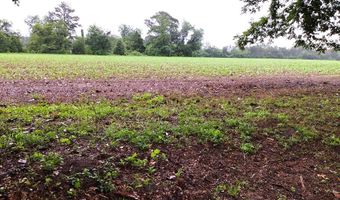 2195 Coffee Rd, Barwick, GA 31626
