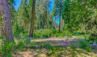11 Timber Trail Ct, Arnold, CA 95223