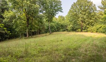 COUNTY ROAD 22, Arley, AL 35541