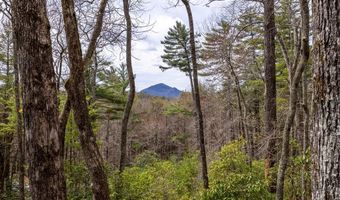 80 Upper Ridge Rd, Cashiers, NC 28736