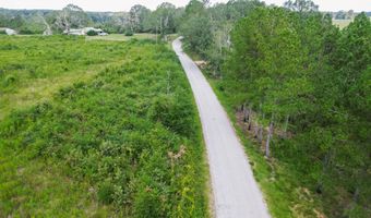 2778 SW Big Creek Dr, Bogue Chitto, MS 39629