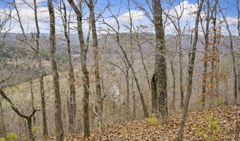 7064 County Road 14-223, Ava, MO 65608