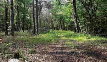 152 Robertson St, Altoona, AL 35952