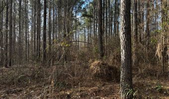 0 County Road 93, Bankston, AL 35554