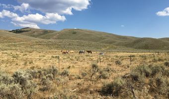 1000 SMITHS FORK Rd, Cokeville, WY 83114