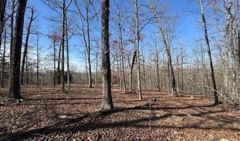 Hidden Valley Lakes lot Ee & Ee S, Annapolis, MO 63620