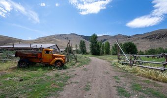 9885 Challis Creek Rd, Challis, ID 83226