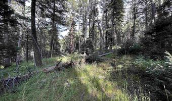 2 Back Basin Rd, Angel Fire, NM 87710