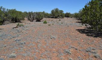 N8604 1, Concho, AZ 85924