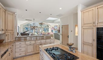 990 E Hopkins Ave, Aspen, CO 81611