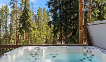 56 Burntwood Ln, Breckenridge, CO 80424