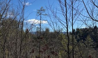 6 83ac Webb Creek Rd, Andrews, NC 28901