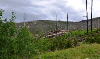 1256 Basking Dog Rd, Bellvue, CO 80512