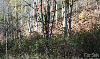 44 Toms Creek Rd, Bakersville, NC 28705
