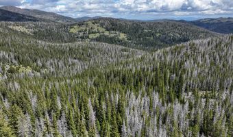 Nhn Cataract Creek Road, Basin, MT 59631