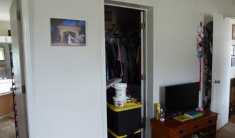 205 Kingston Canyon Rd, Austin, NV 89310