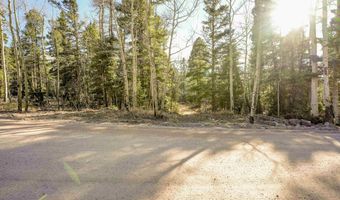 1004 And 1005 El Camino Real, Angel Fire, NM 87710