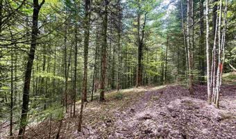 Marshall Newland Road, Burke, VT 05832