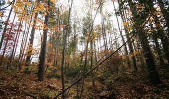 RIDGE RD lot 1, Arvonia, VA 23004